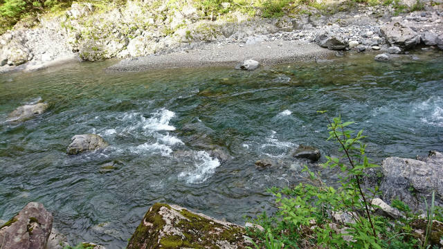 画像の説明 画像の説明